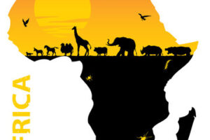 africanaweb africa history